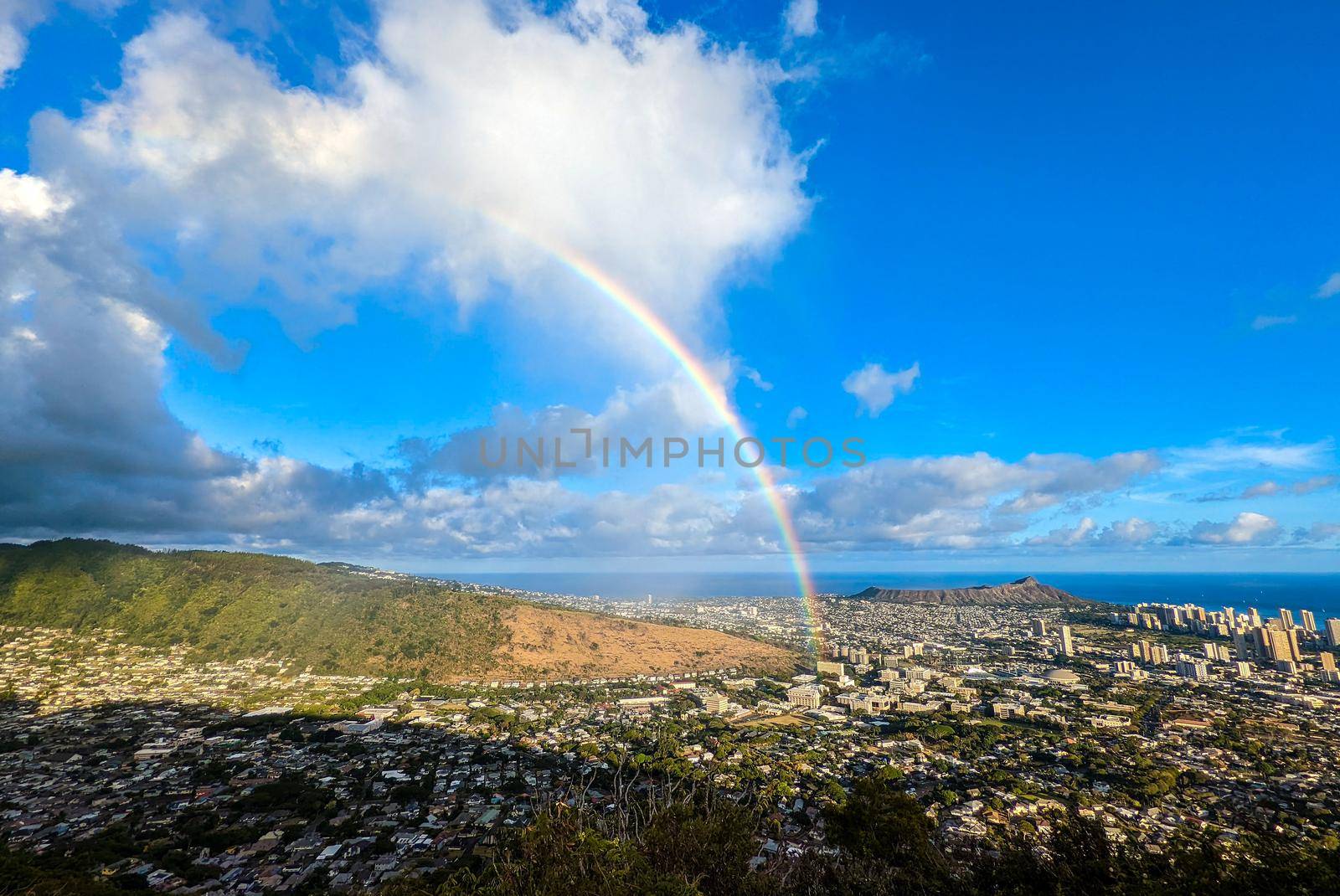  Waikiki and Honolulu from Tantalus Overlook on Oahu by digidreamgrafix