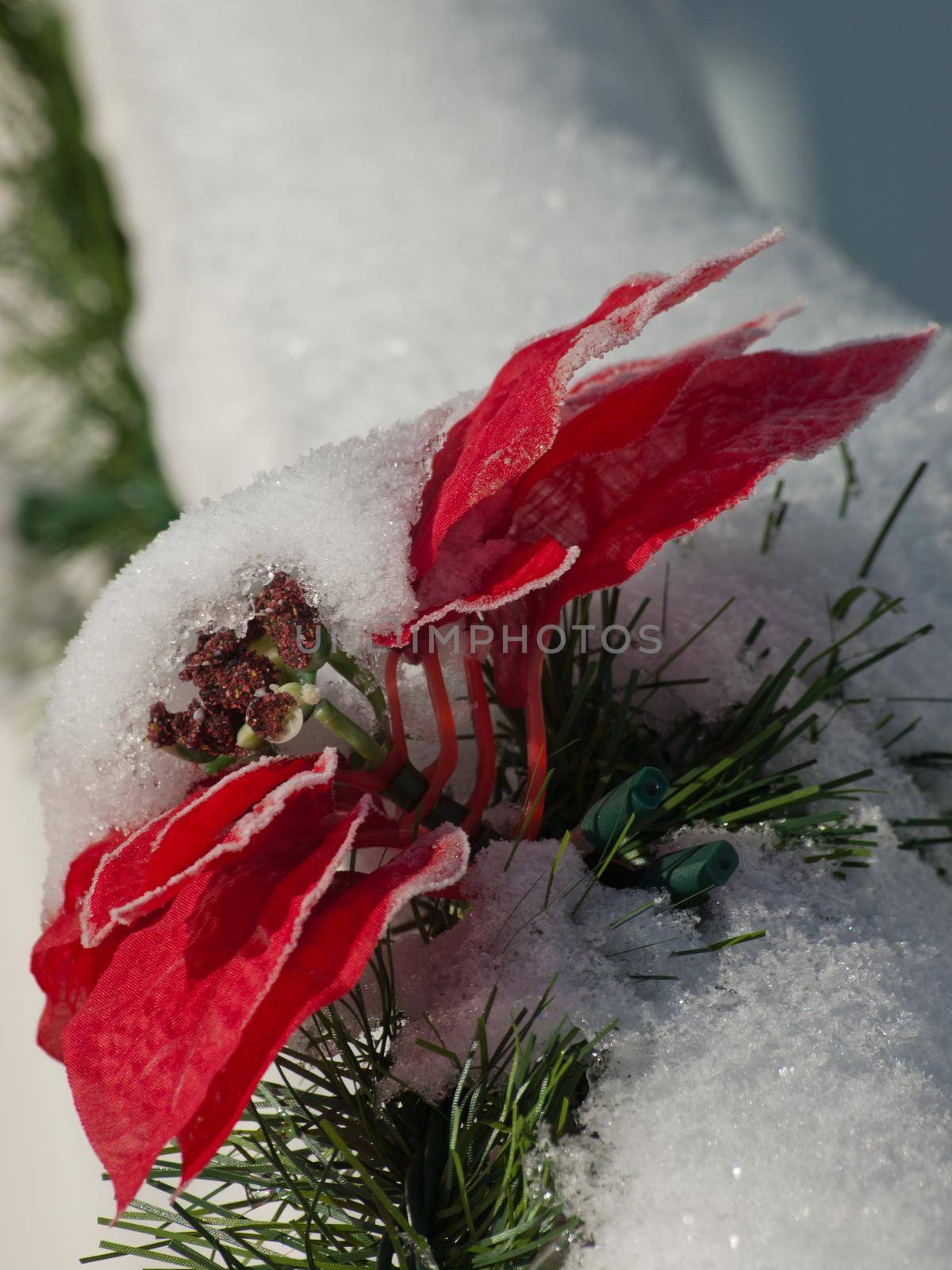 House decorated for winter holidays.