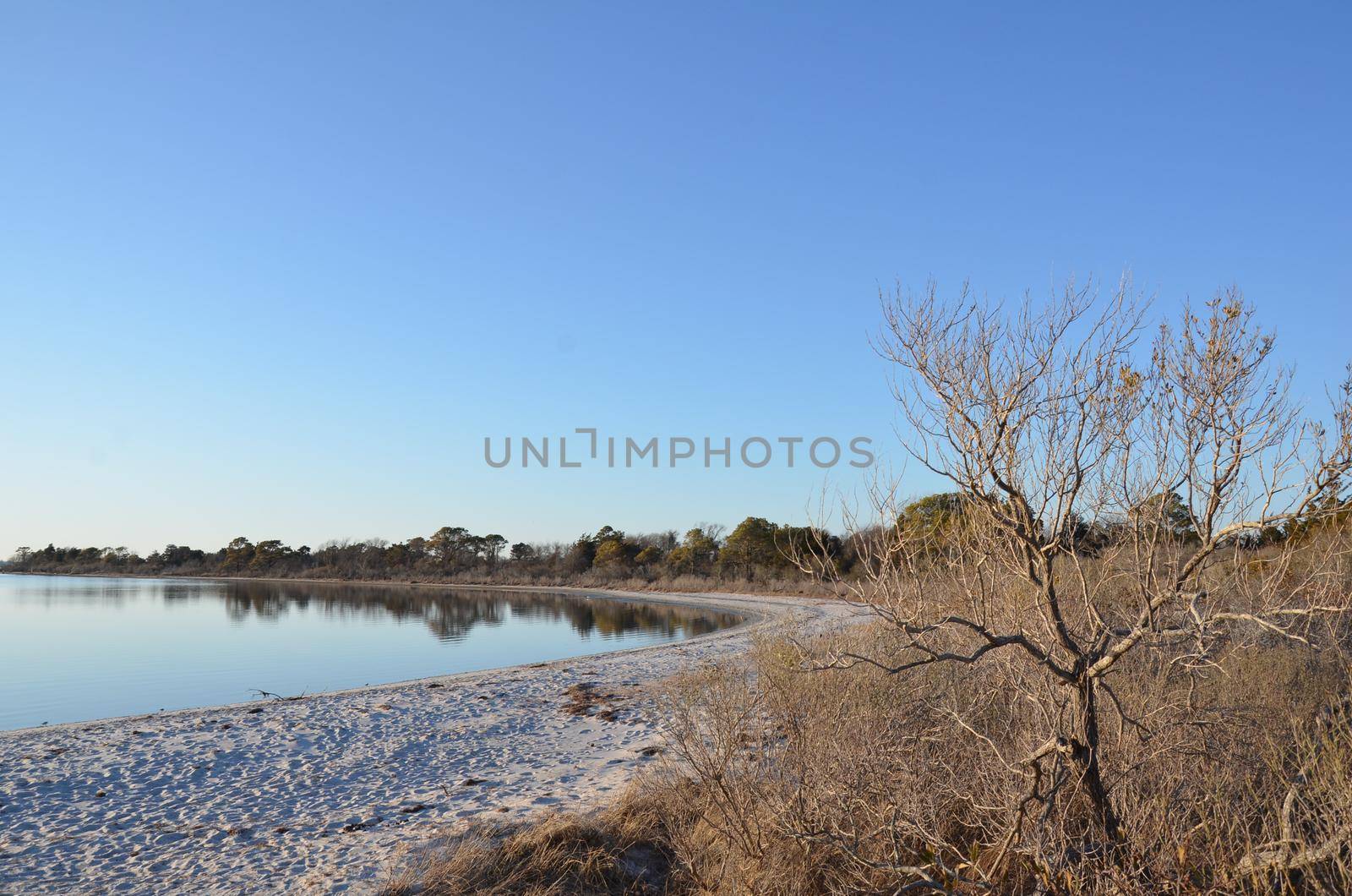 a lake or river with brown grasses and shore with sand by stockphotofan1