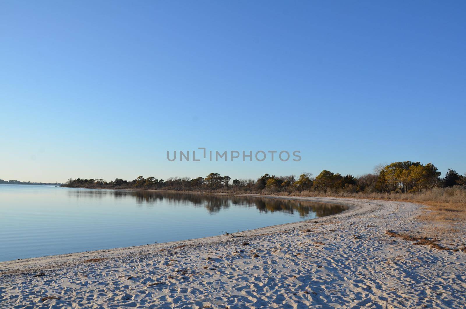 a lake or river with brown grasses or plants and shore with sand