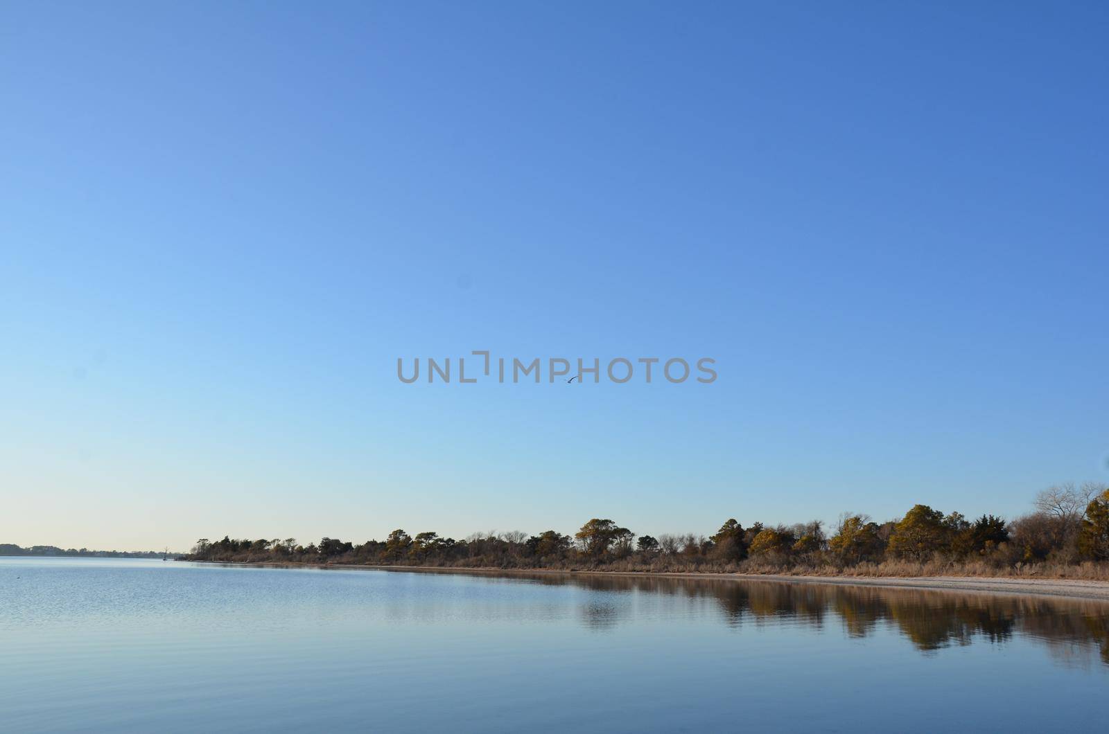 a lake or river with brown grasses and shore and bird by stockphotofan1