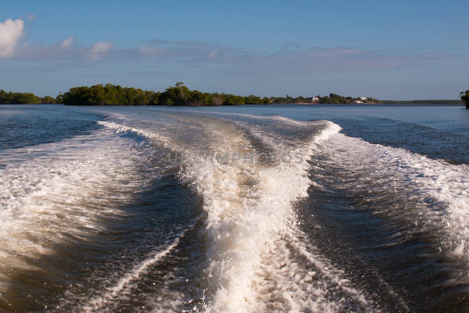 A view of the Chokoloskee Island from water.