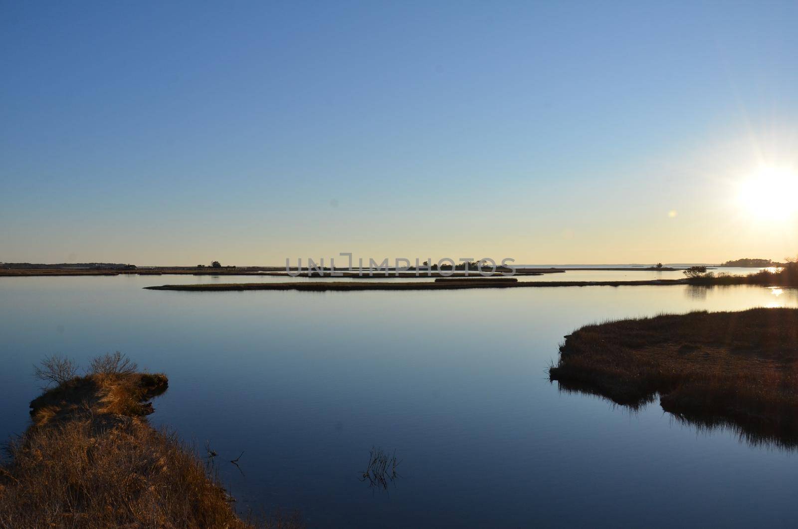 a lake or river with brown grasses or plants and shore