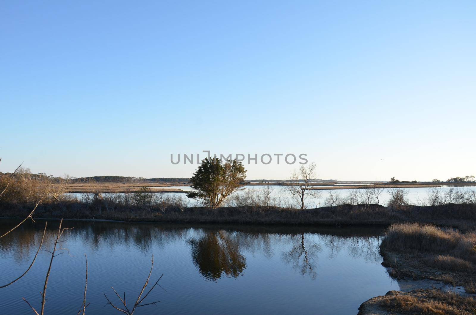 a lake or river with brown grasses or plants and shore
