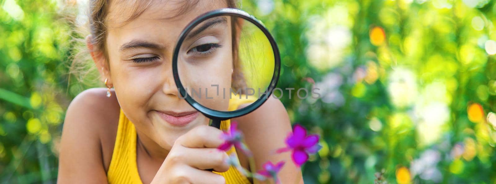 The child examines the plants with a magnifying glass. Selective focus. by yanadjana