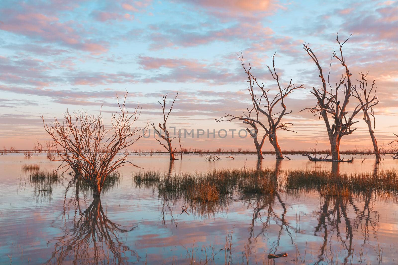 Lake sunsets by lovleah