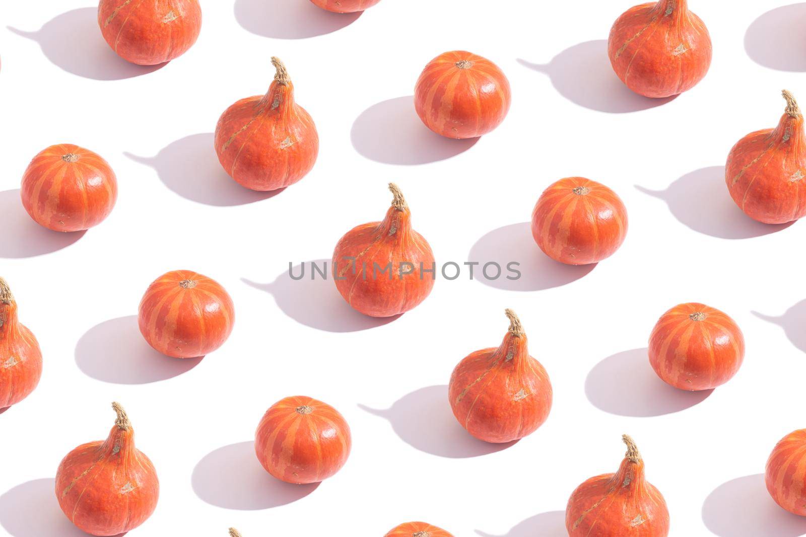 Pattern made from orange pumpkins with hard shadows on white background by ssvimaliss
