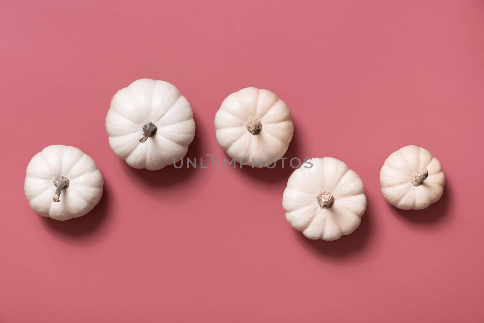 Group of decorative pumpkins top view on pink background. Autumn flat lay.