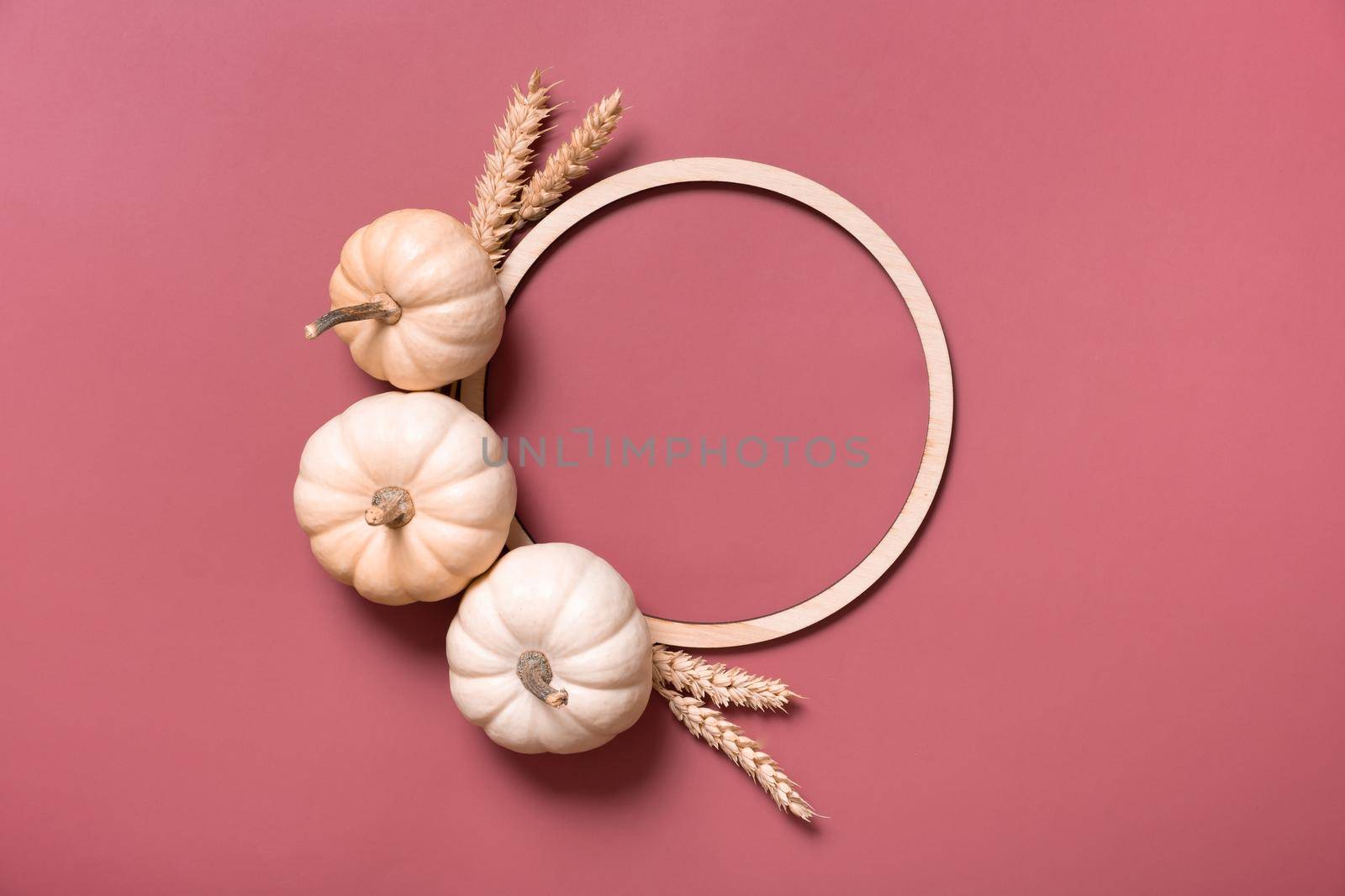 Decorative pumpkins and wooden frame for text, autumn themed blank top view, flat lay.
