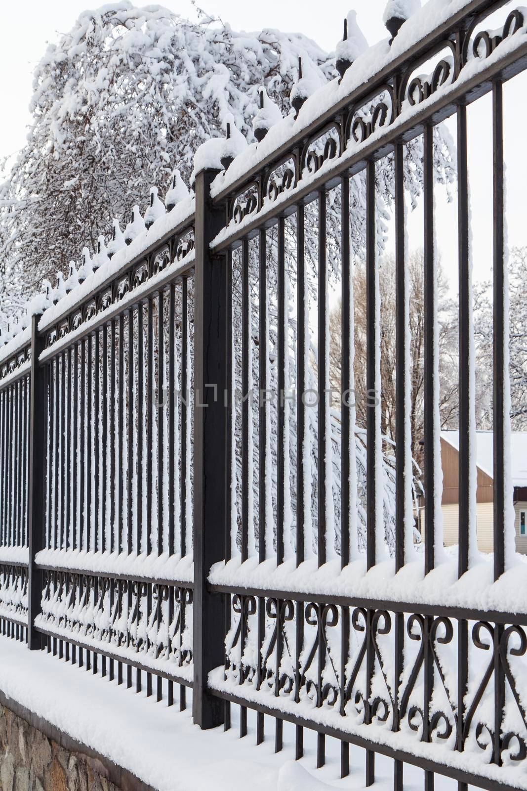 Side view of black metal forged fence covered by snow