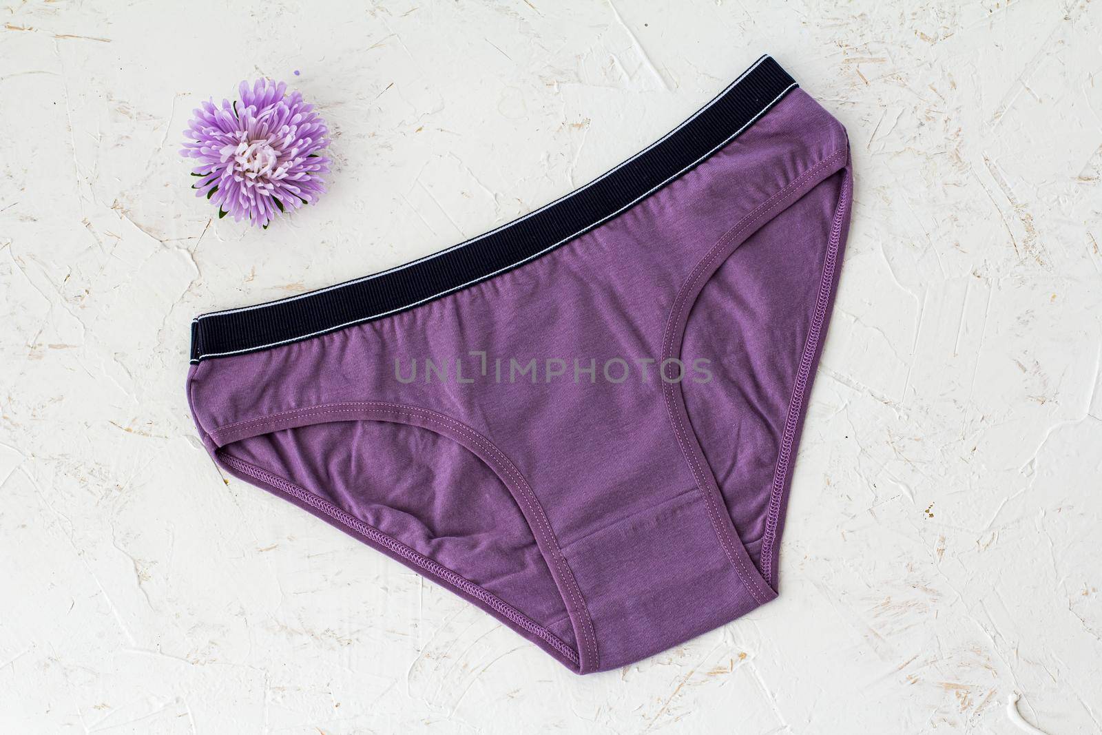 Purple cotton panties with flower bud on the white structured background. Woman underwear set. Top view.