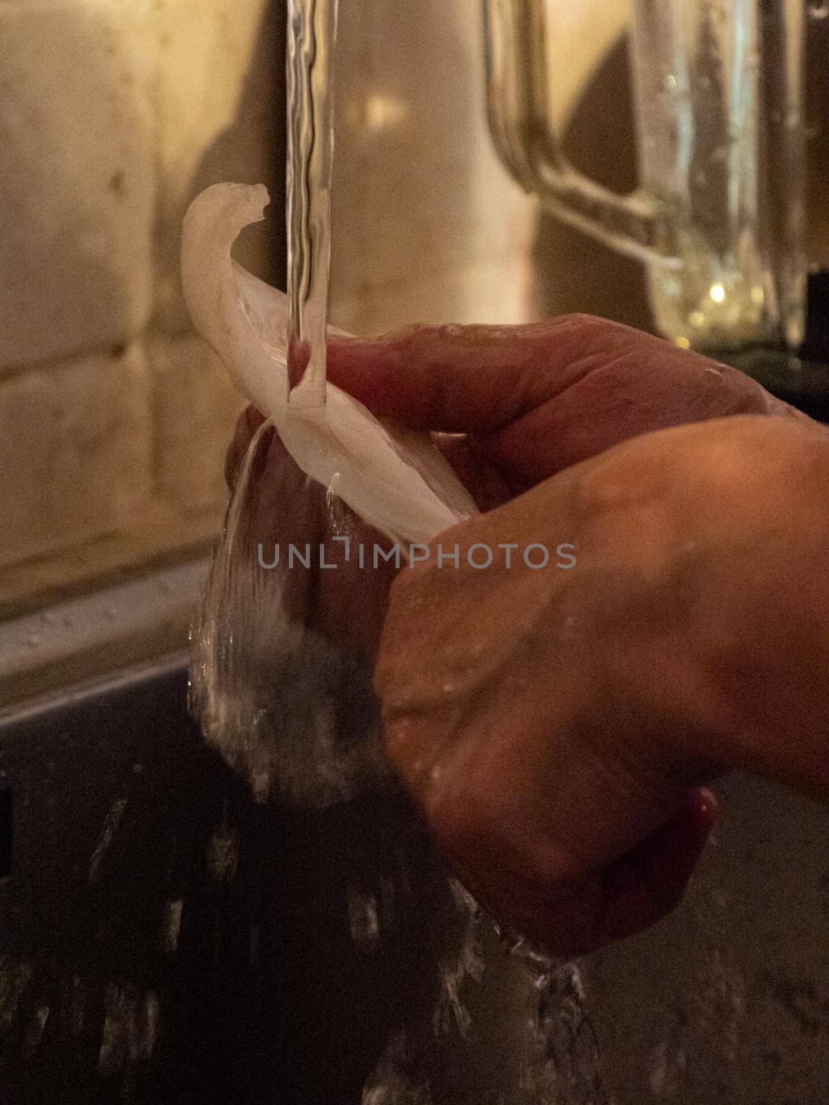 cleaning a raw adriatic cuttlefish at home in Numana, Marche, Italy