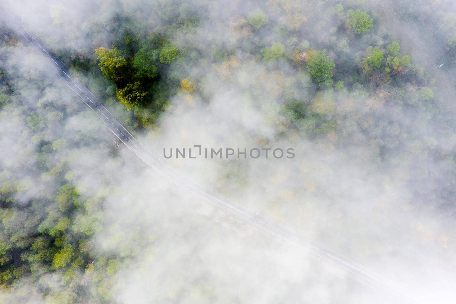 country road in the colored autumn forest with fog, aerial top view between clouds, concept of emission reduction and ecology