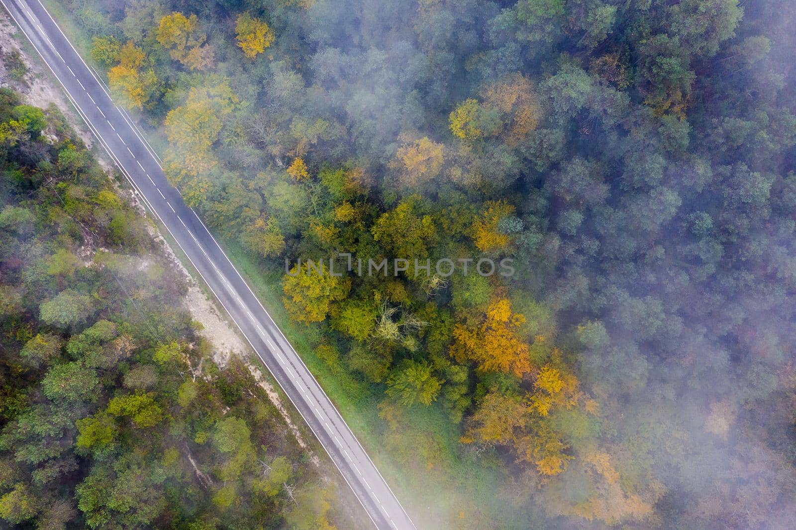 straight country road in the colored autumn forest with fog, aerial top view, concept of emission reduction and ecology