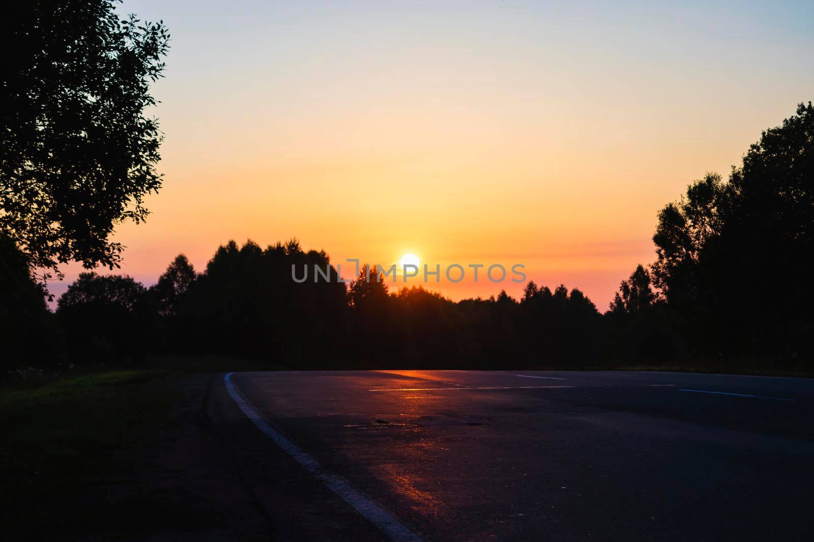 Dawn over the road leading towards the dark forest by Skaron