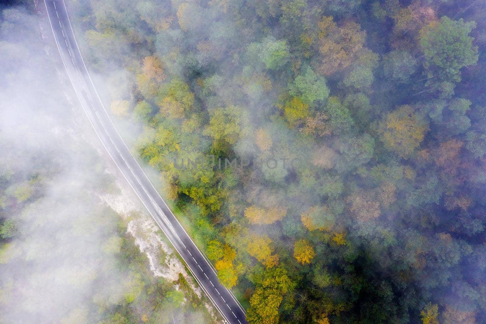 curved country road in the colored autumn forest with fog, aerial top view, concept of emission reduction and ecology