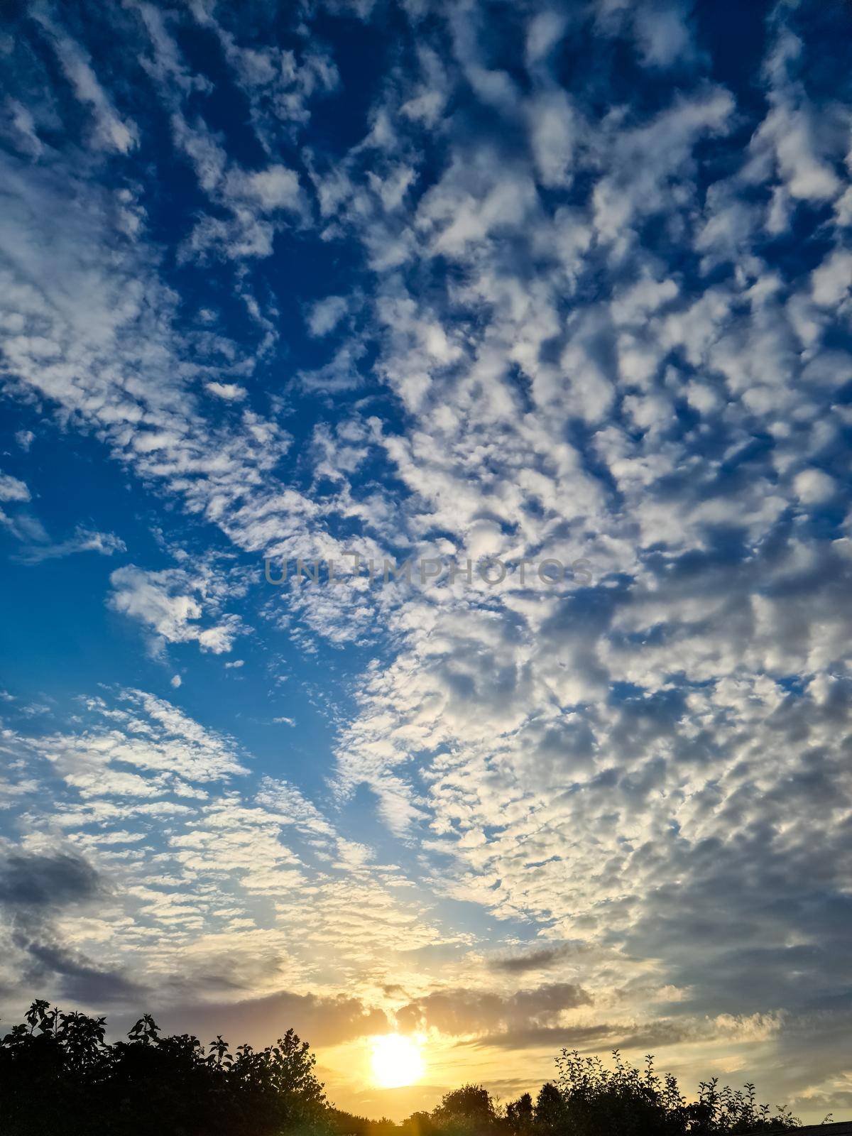 Beautiful fluffy white beautiful cloud formations in a deep blue summer sky