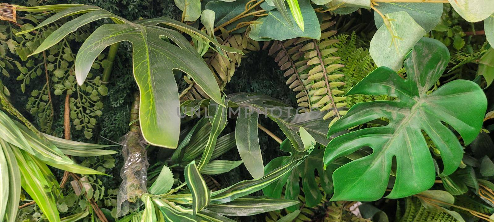 vertical garden floral background with green leaves, with tropical plants native to brazil