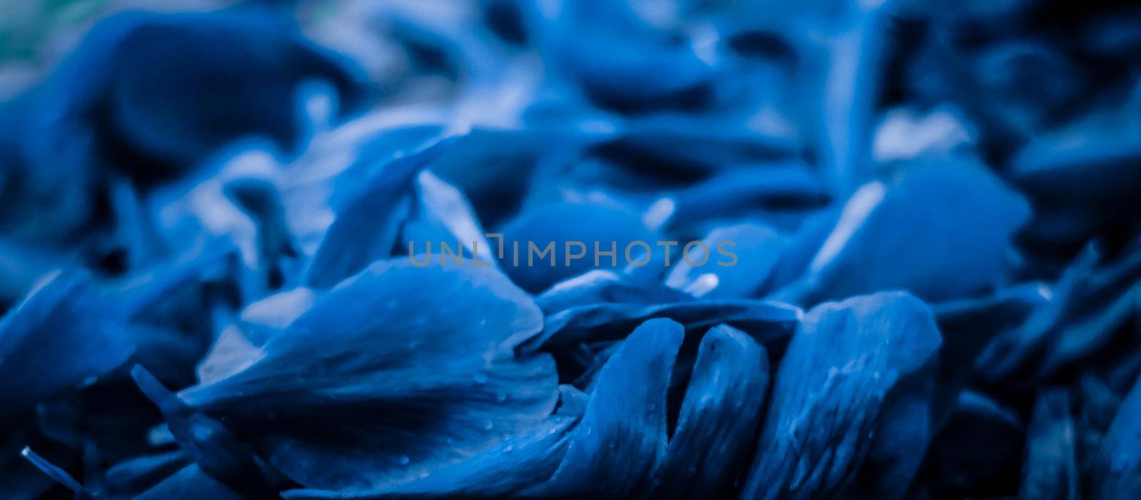 Branding, blossom and botanical concept - Abstract floral holiday art background, blue blooming flower petals in dream garden and beauty in nature for luxury spa brand and wedding invitation design