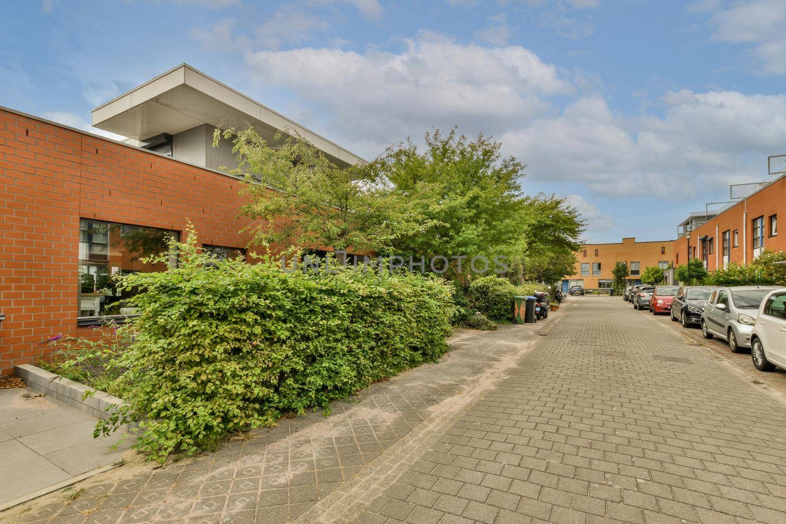 View of street near building with beauty of vegetation outsideView of street near building with beauty of vegetation outside