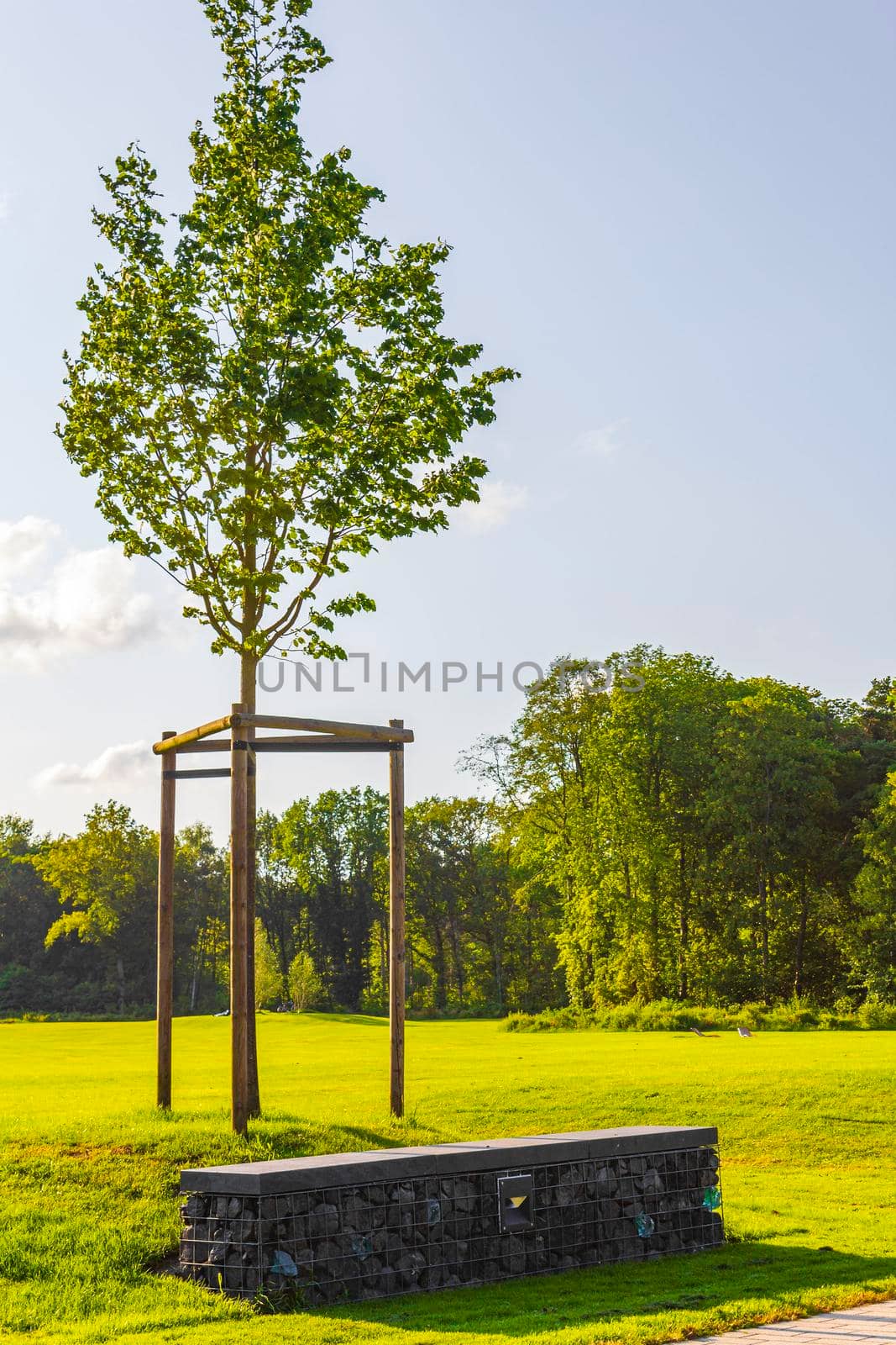 Natural panorama view lake pathway green plants trees forest Germany. by Arkadij