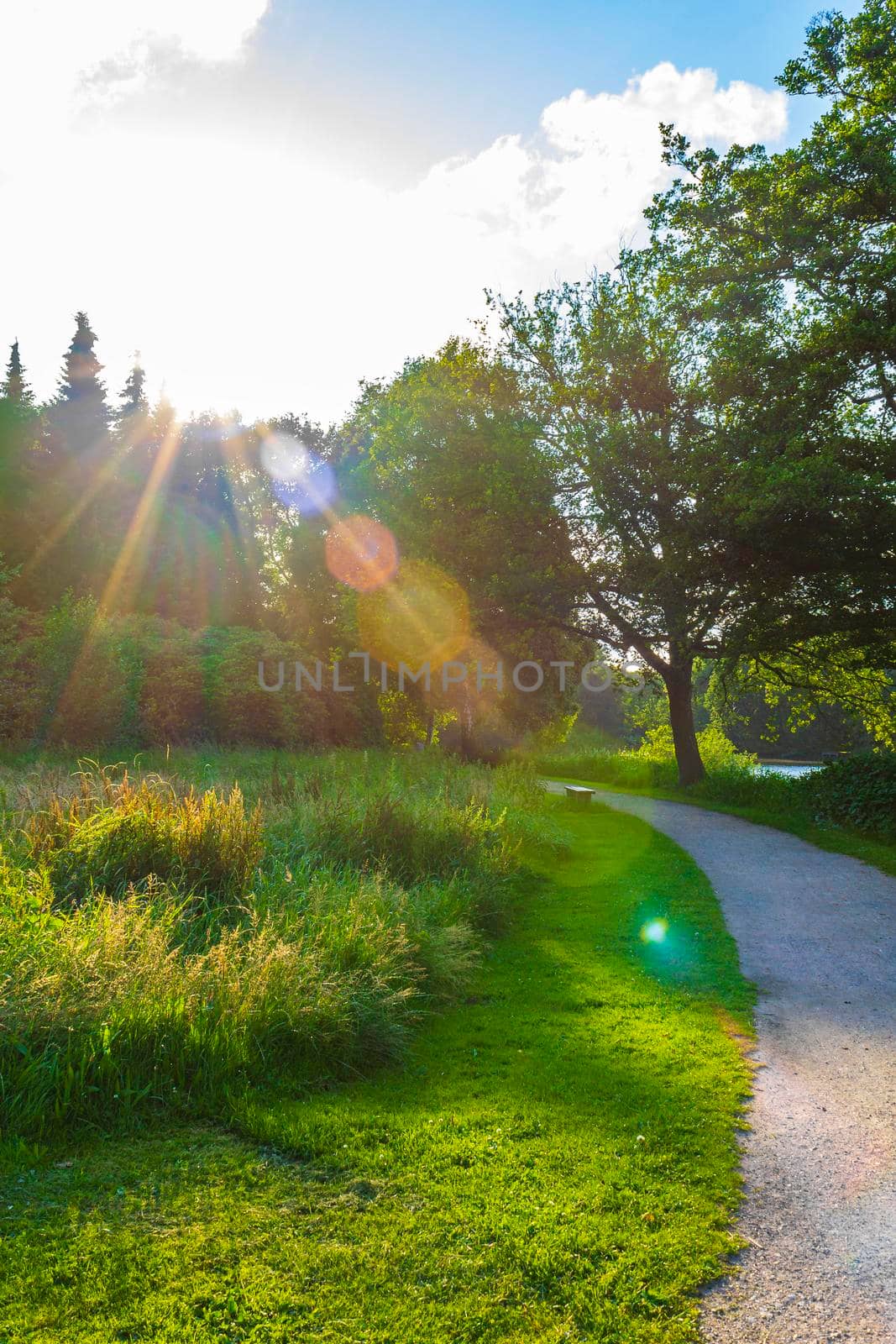 Natural panorama view lake pathway green plants trees forest Germany. by Arkadij