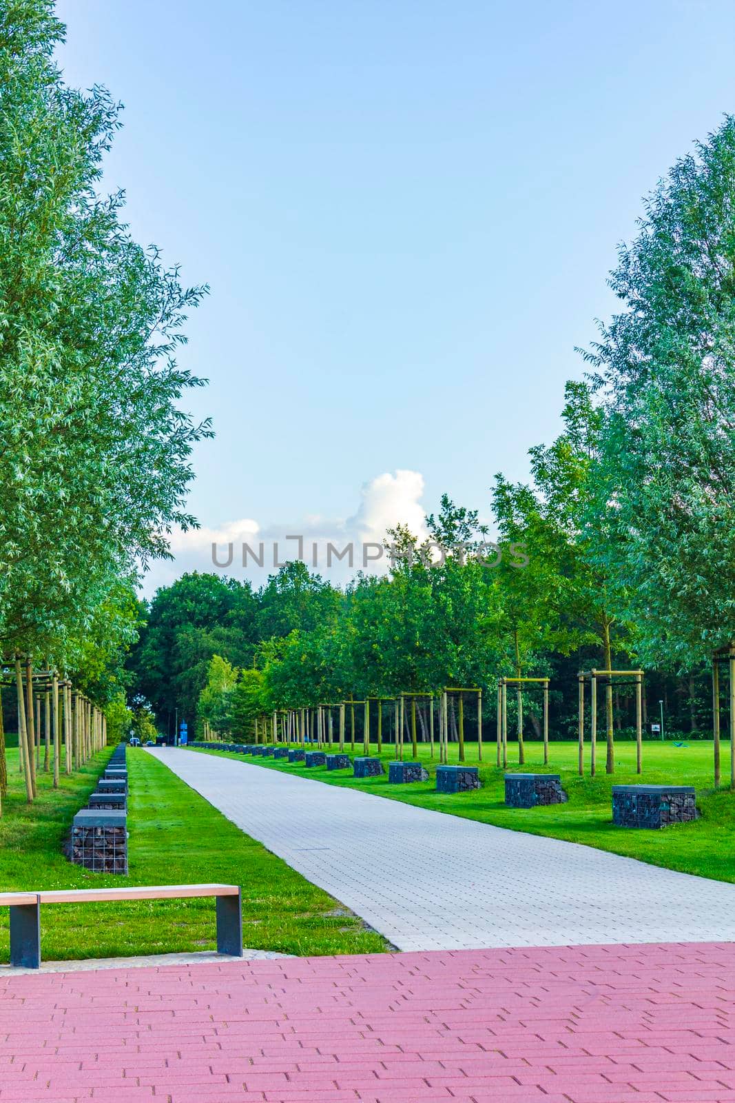 Natural beautiful panorama view with lake river walking pathway and green plants trees in the forest of Speckenbütteler Park in Lehe Bremerhaven Germany.