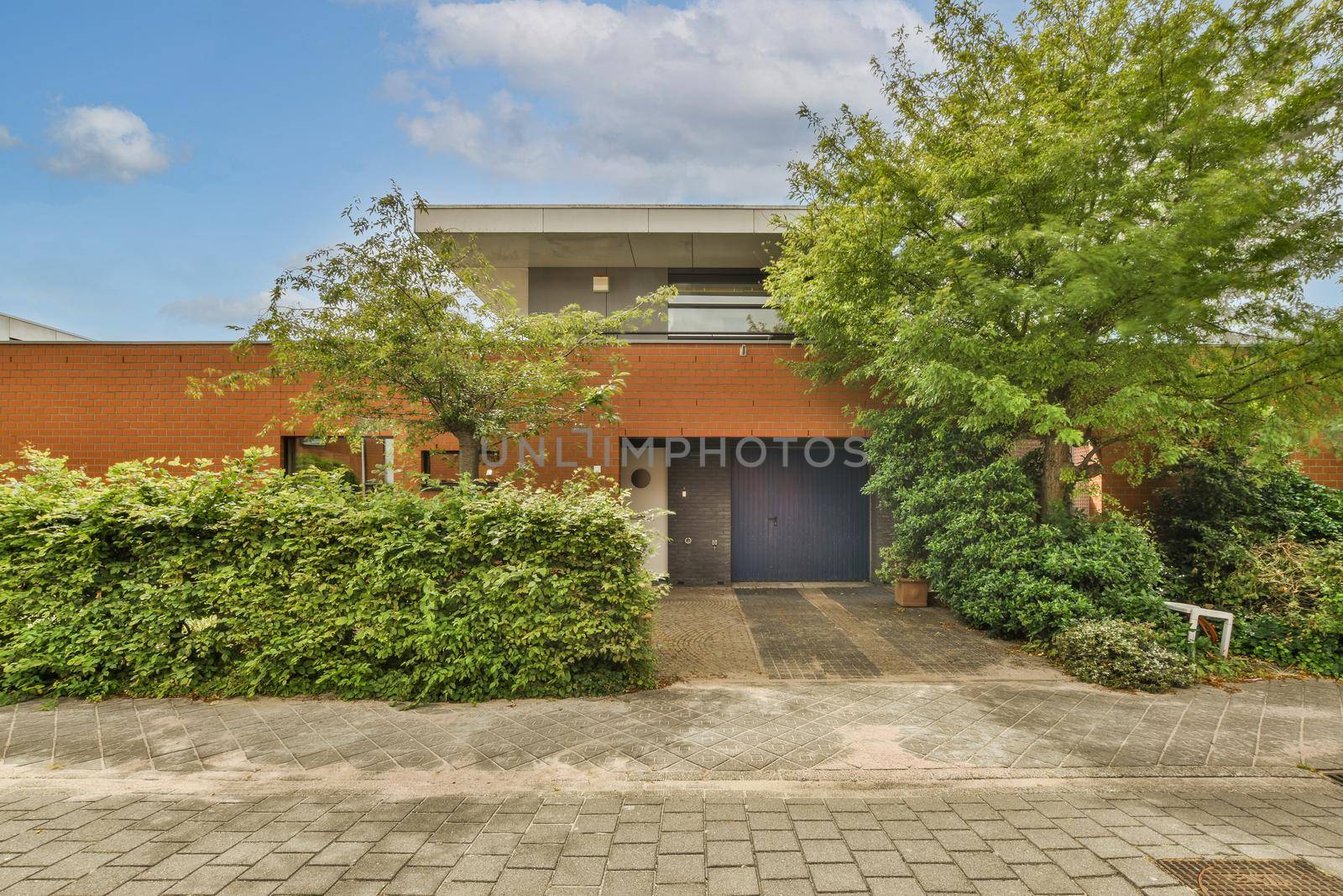 View of street near building with beauty of vegetation outsideView of street near building with beauty of vegetation outside