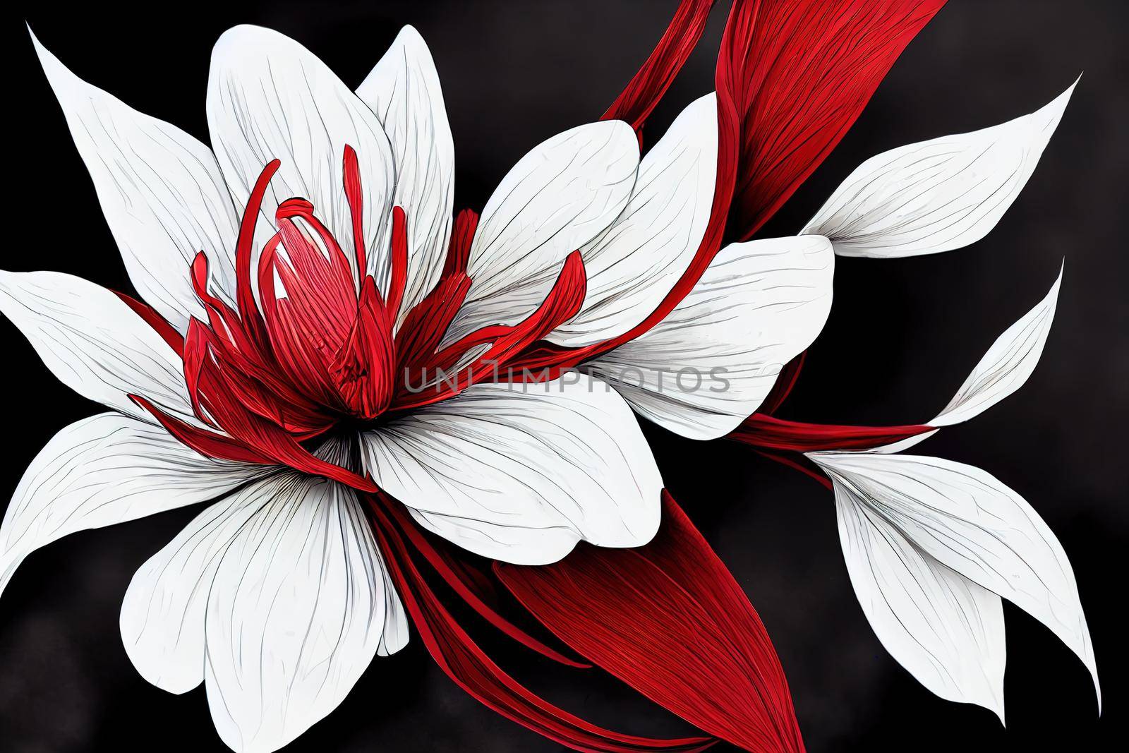 red Genius flower. High quality 2d illustration