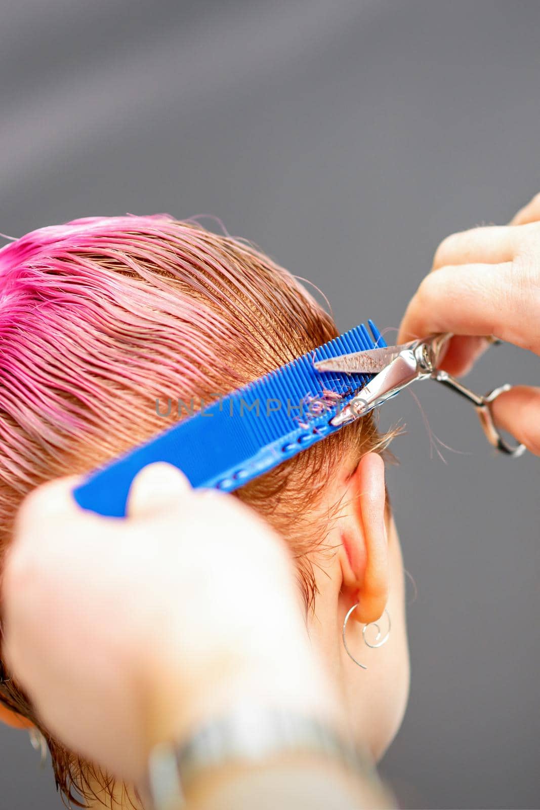 Professional hairstylist is cutting short pink hair with scissors in hair salon close up. by okskukuruza