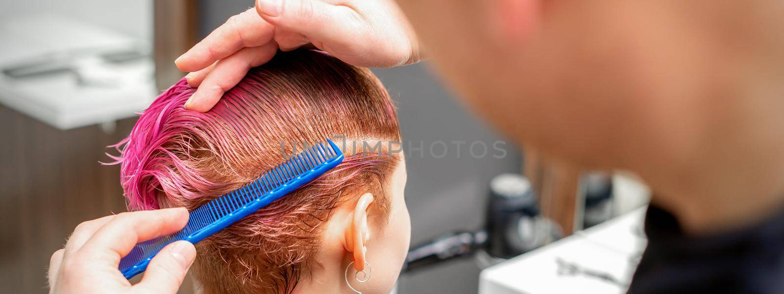 Combing the hair of a young woman during coloring hair in pink color at a hair salon close up. by okskukuruza