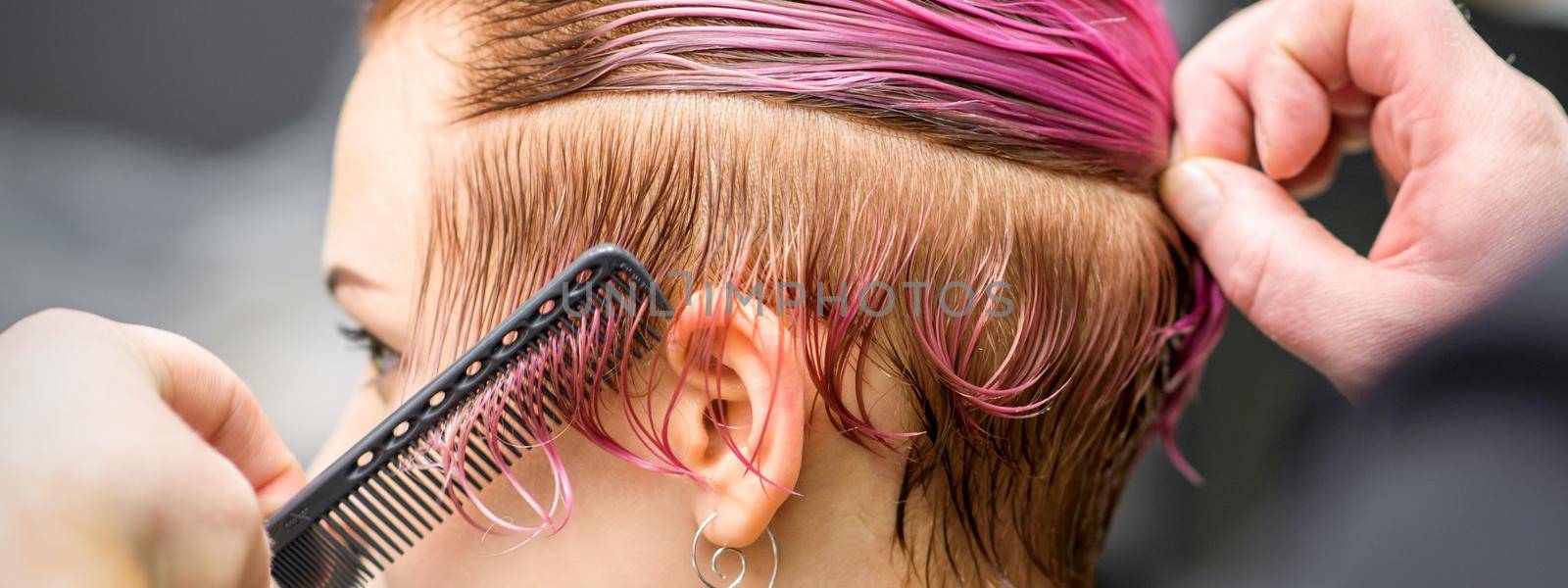 Combing the hair of a young woman during coloring hair in pink color at a hair salon close up. by okskukuruza