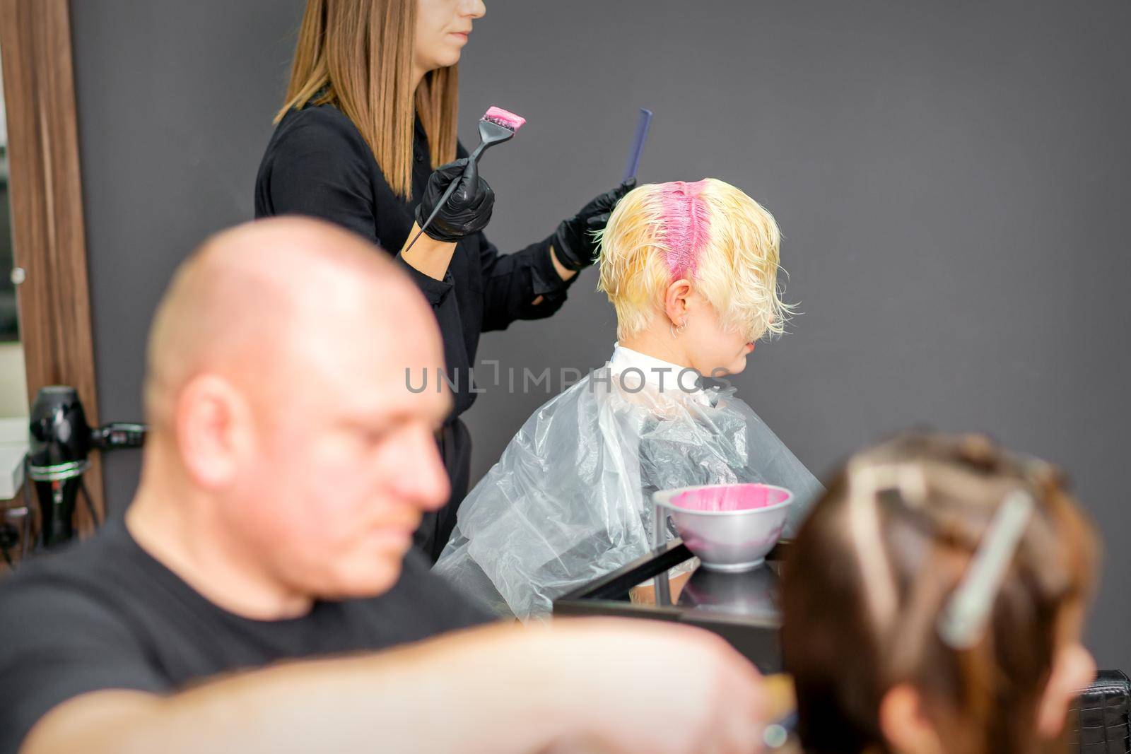 Coloring female hair in the hair salon. Young woman having her hair dyed by beautician at the beauty parlor