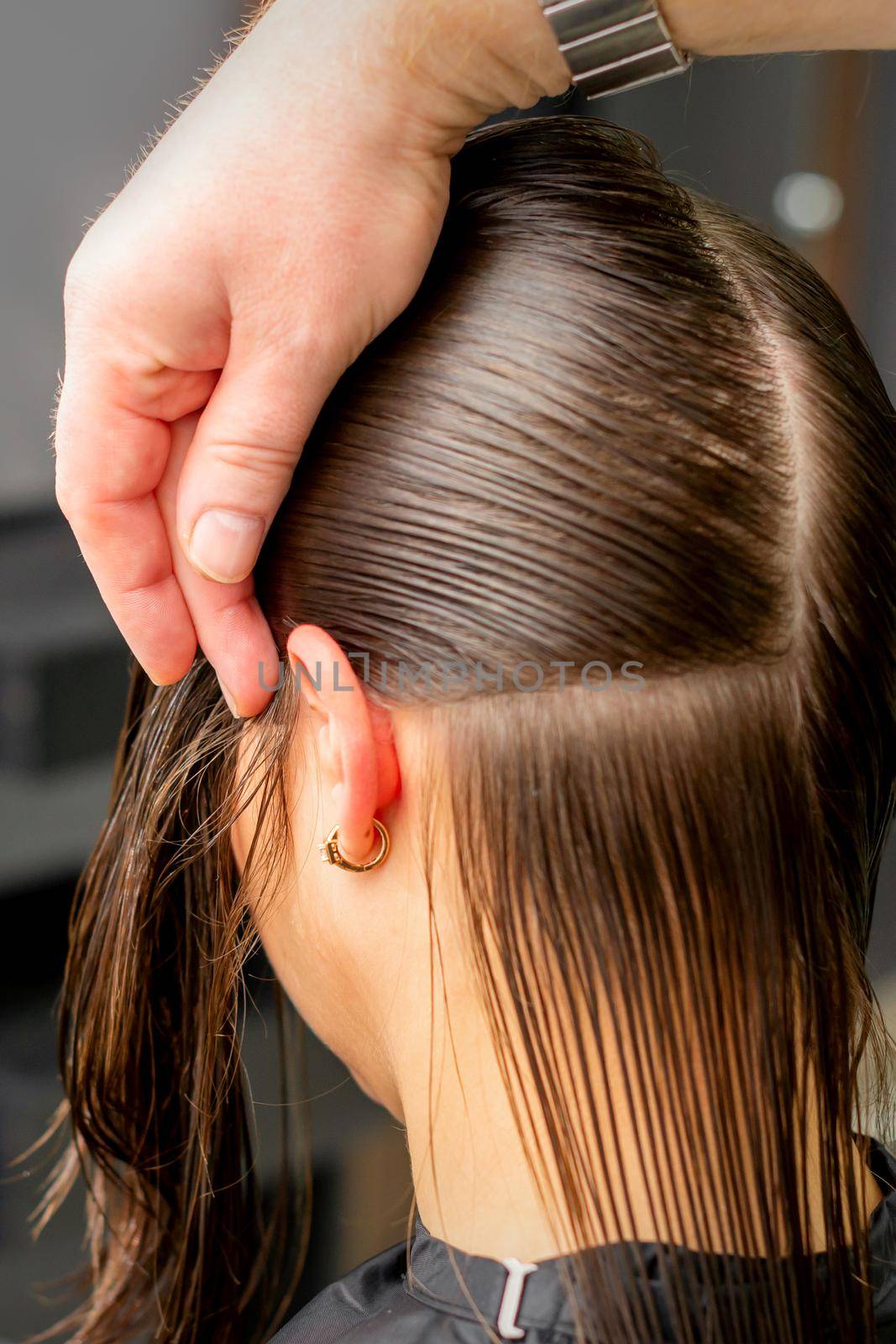 Hairdresser divides female hair into sections with comb holding hair with her hands in hair salon close up. by okskukuruza