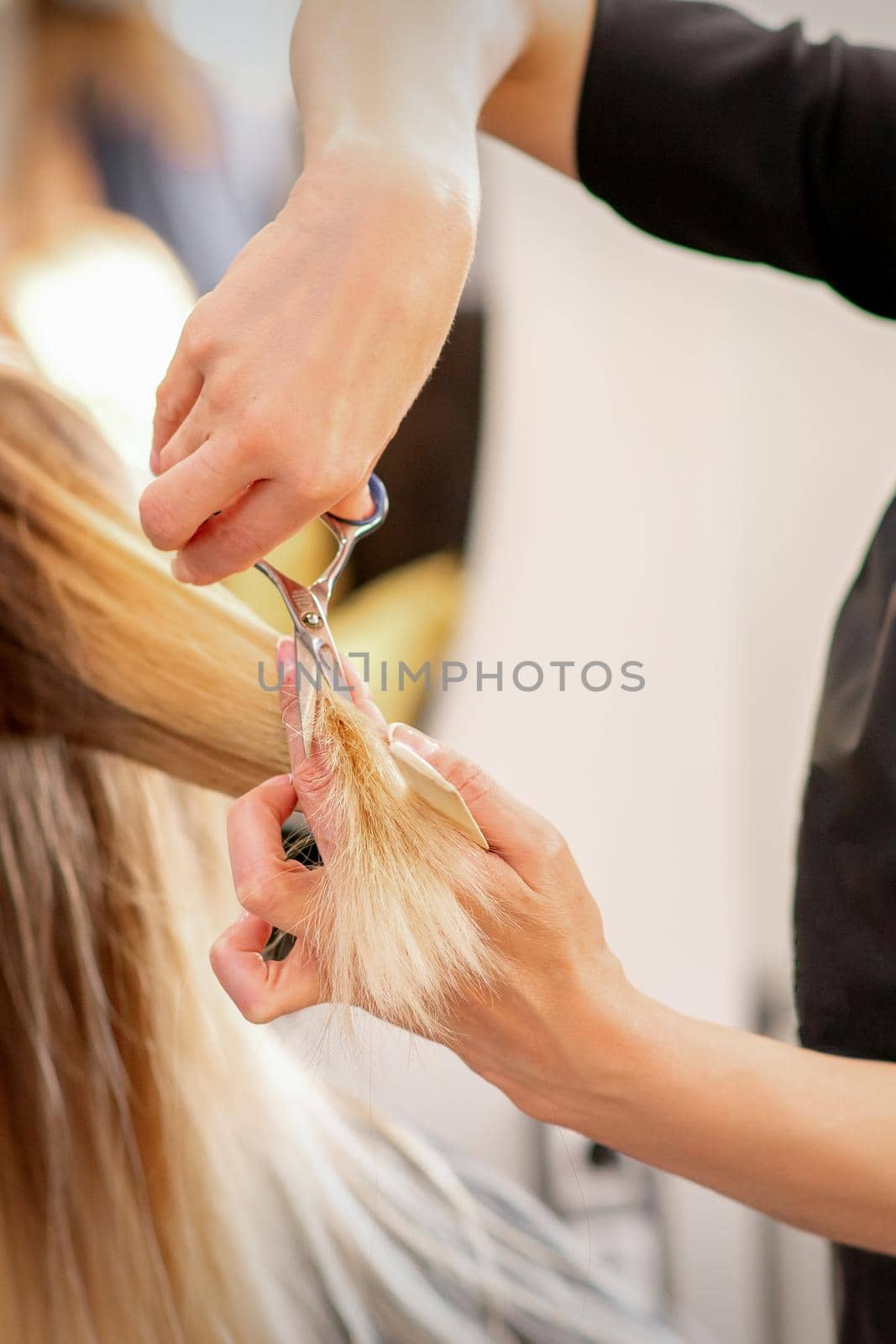 Cutting female blonde hair. Hairdresser cuts hair of a young caucasian woman in a beauty salon close up