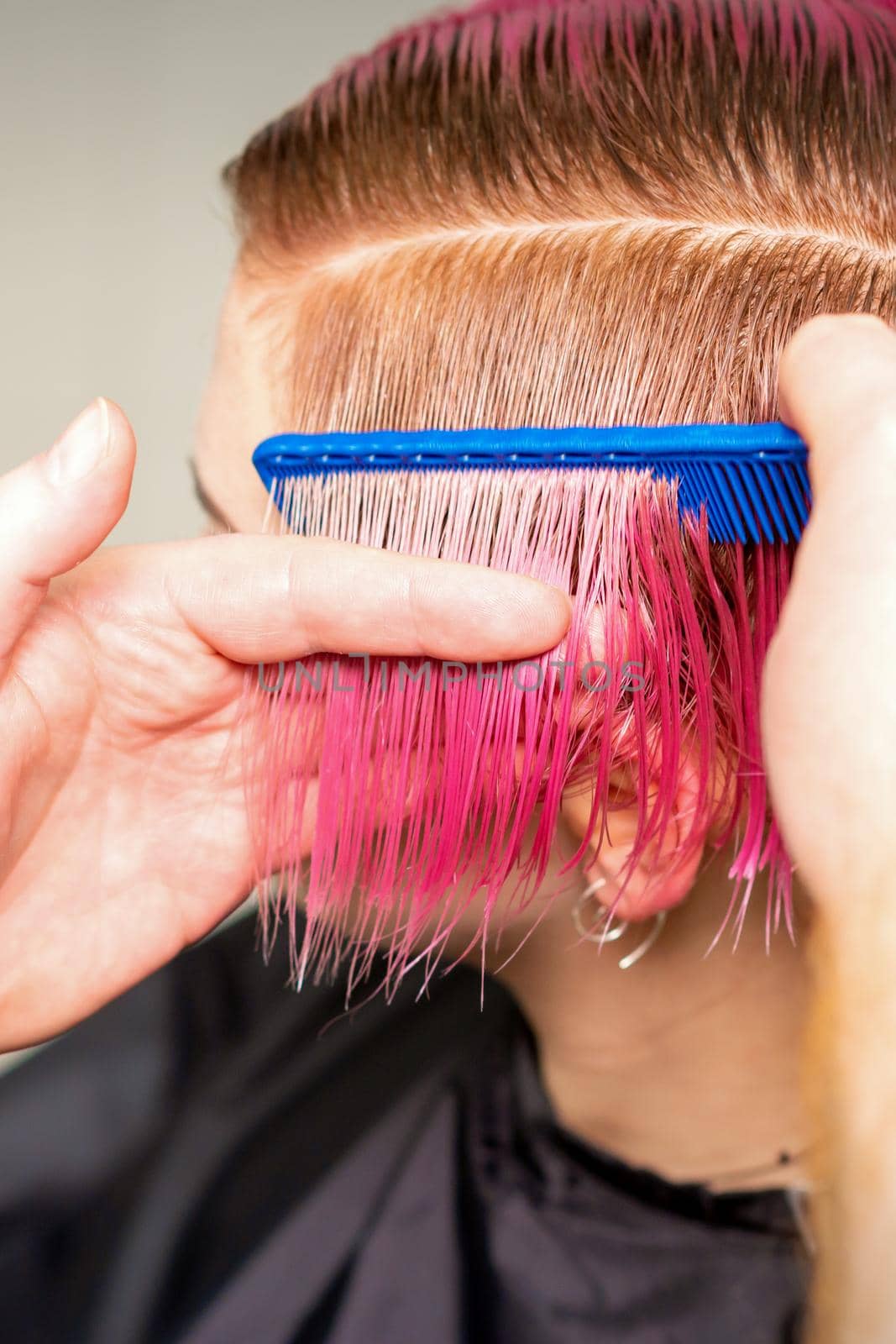 Hands of hairdresser combing hair making short pink hairstyle for a young caucasian woman in a beauty salon. by okskukuruza