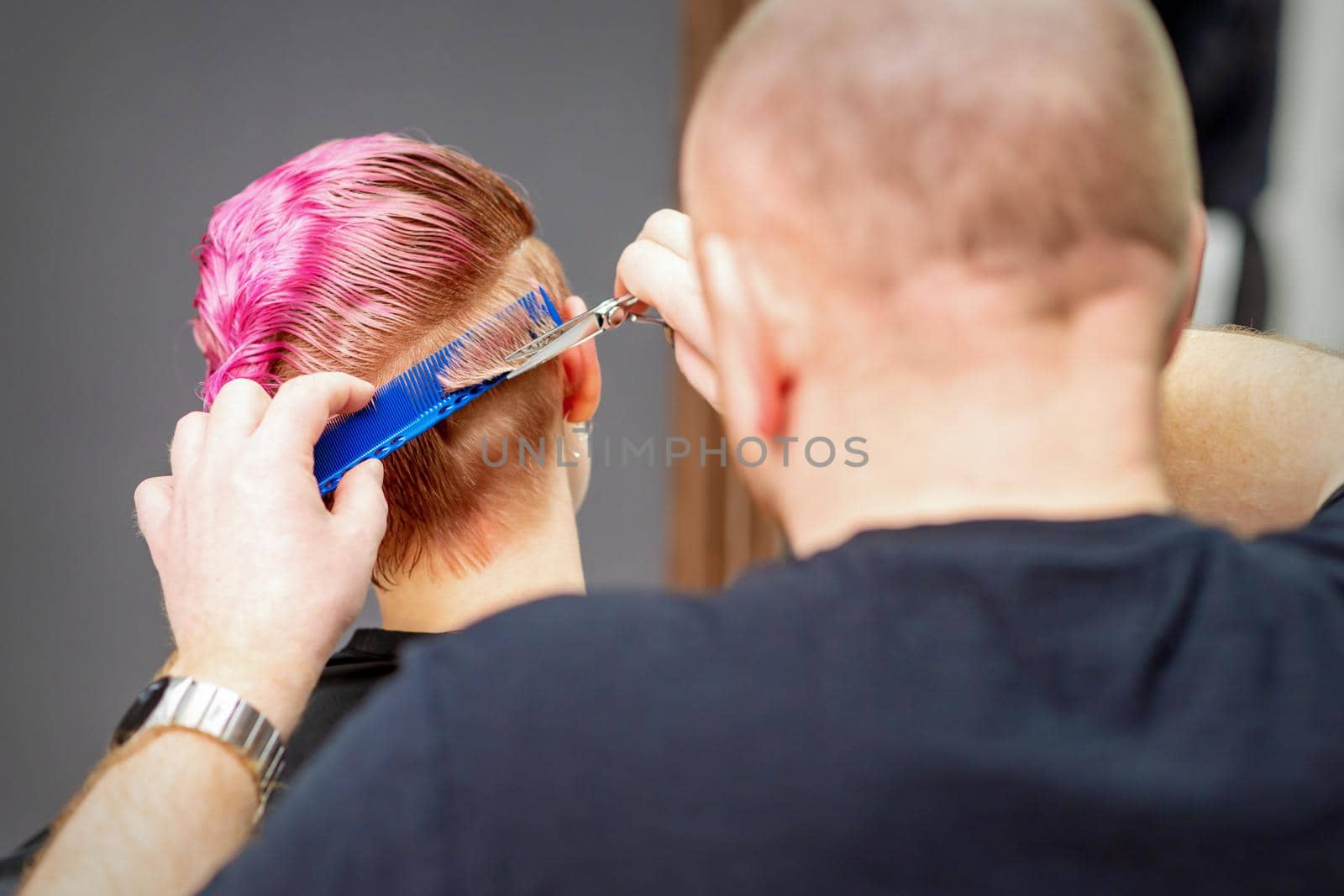 Woman having a new haircut. Male hairstylist cutting pink short hair with scissors in a hair salon