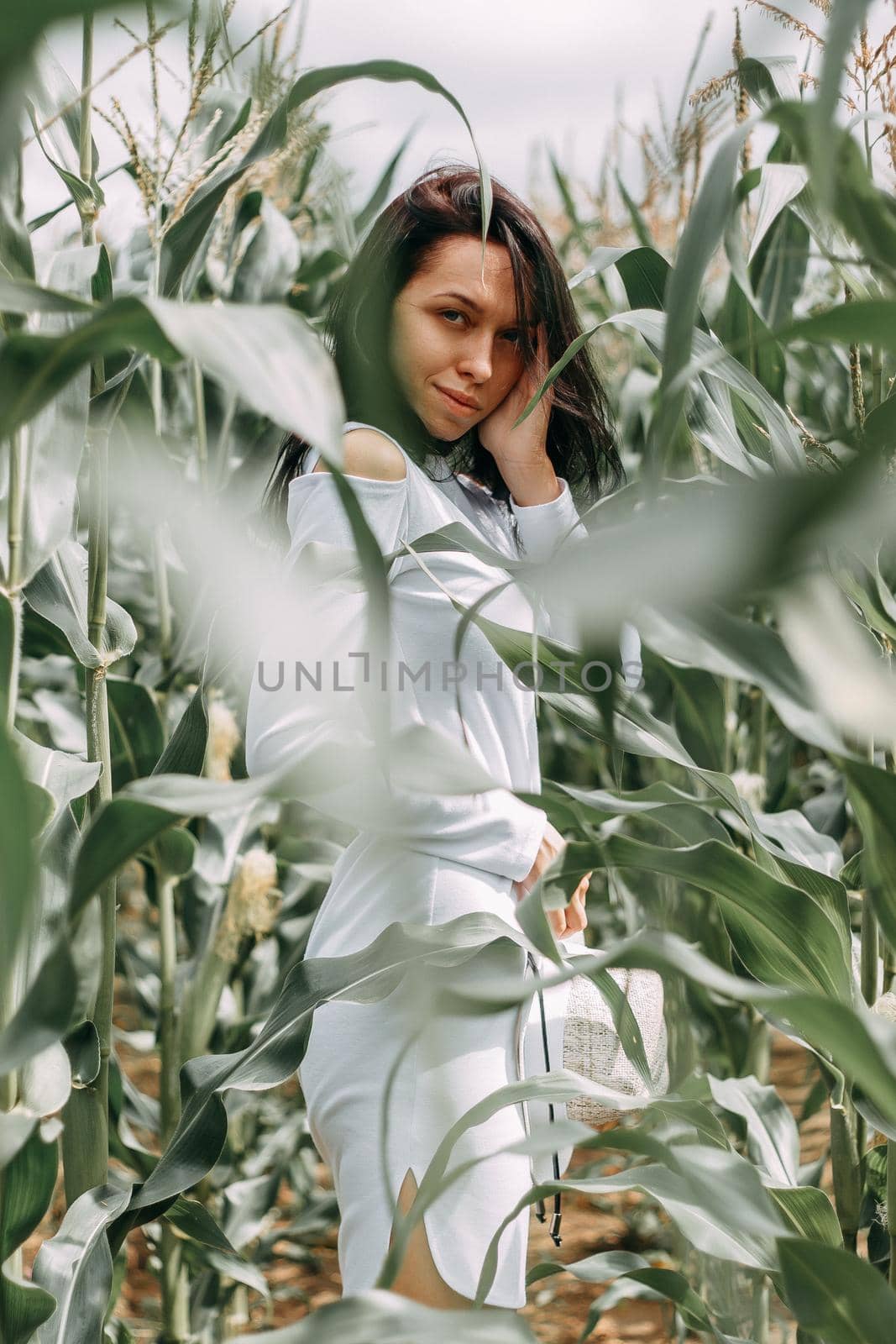 A brunette girl in a white dress in a cornfield. The concept of harvesting.