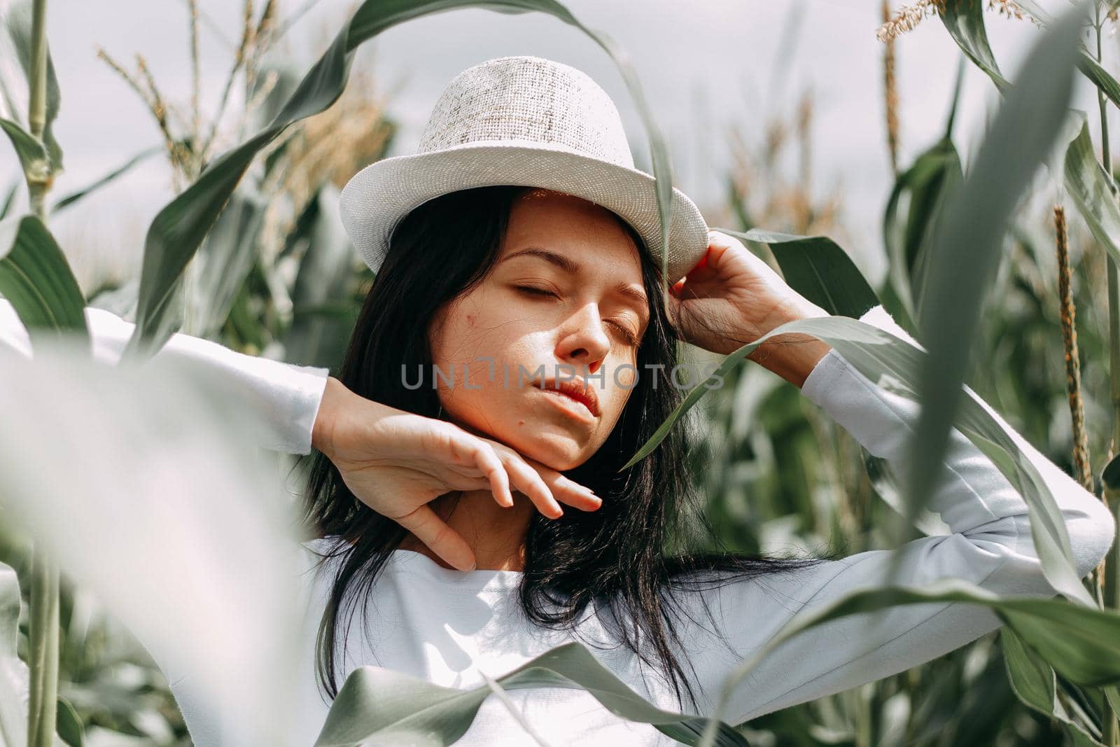 A brunette girl in a white dress in a cornfield. The concept of harvesting.