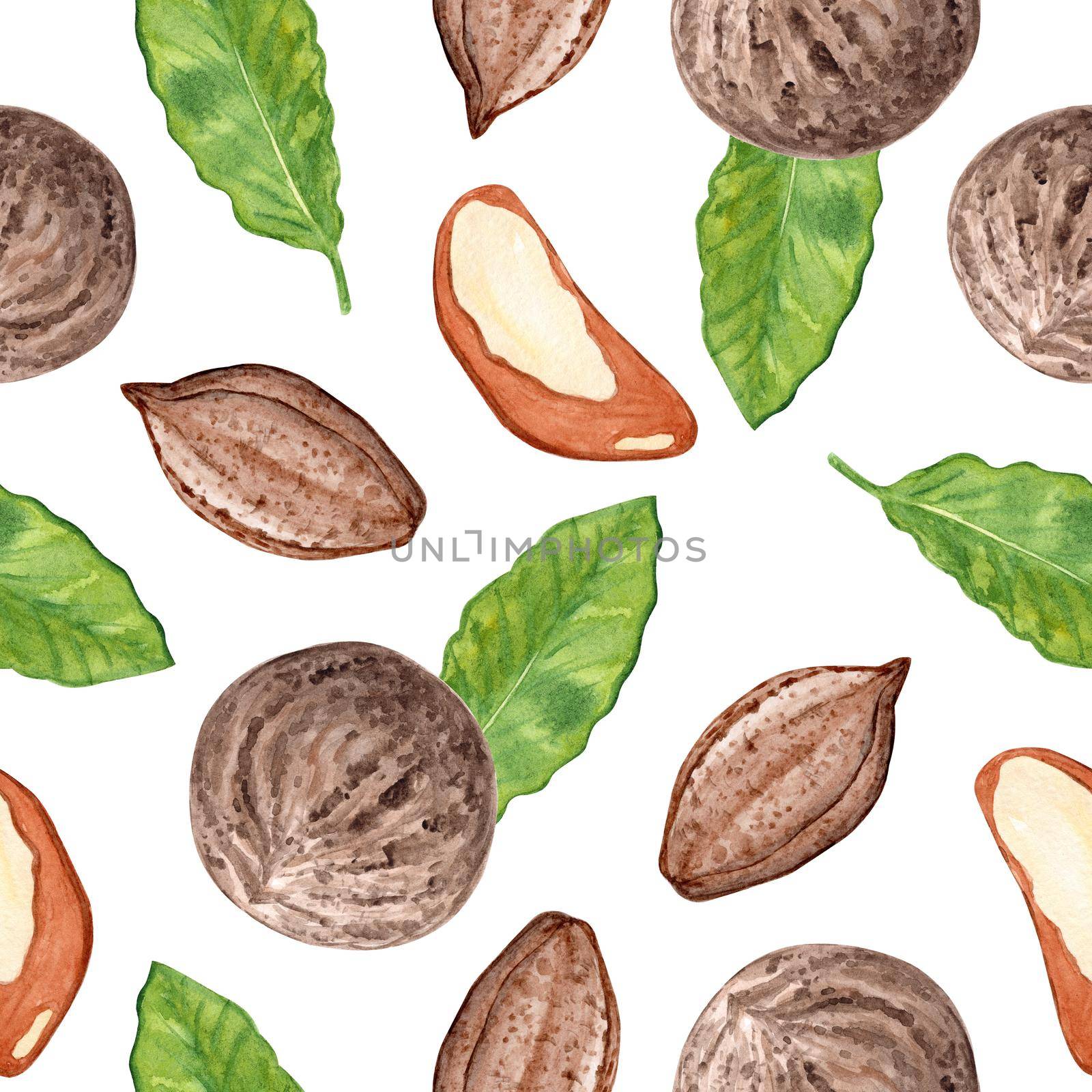 watercolor brazilian nut seamless pattern on white background. by dreamloud