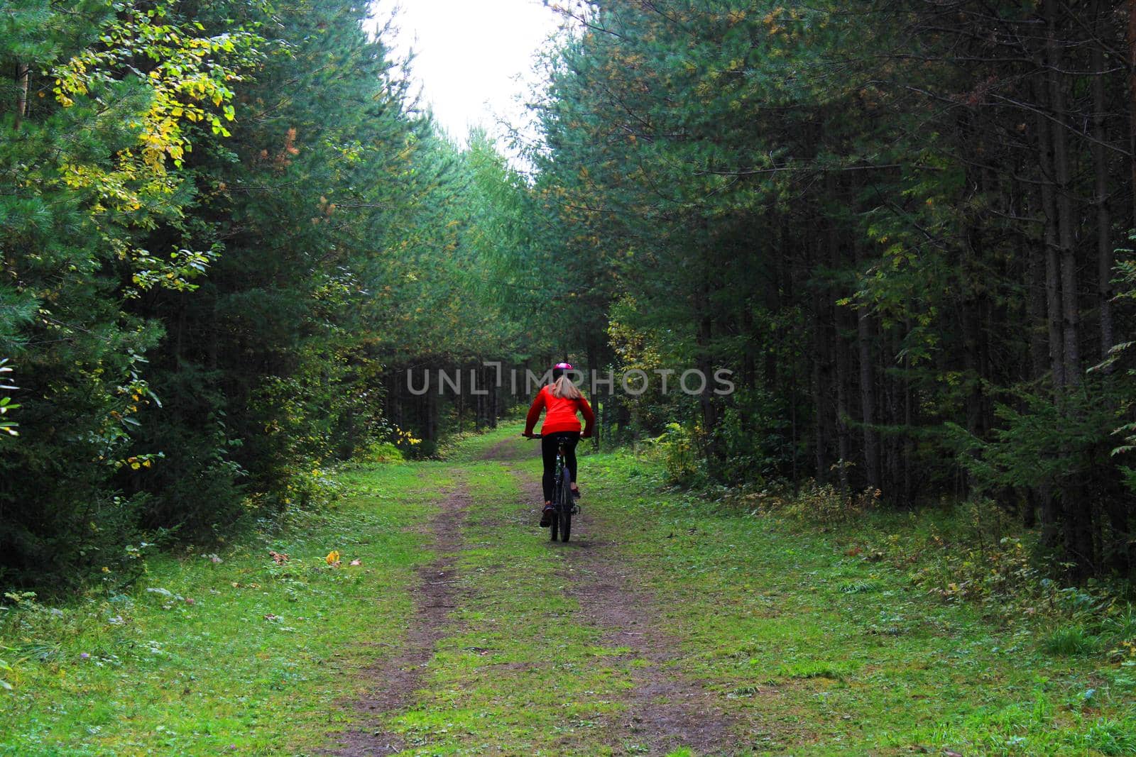 A girl in sportswear and a helmet rides a bicycle through the forest. Back view by IronG96