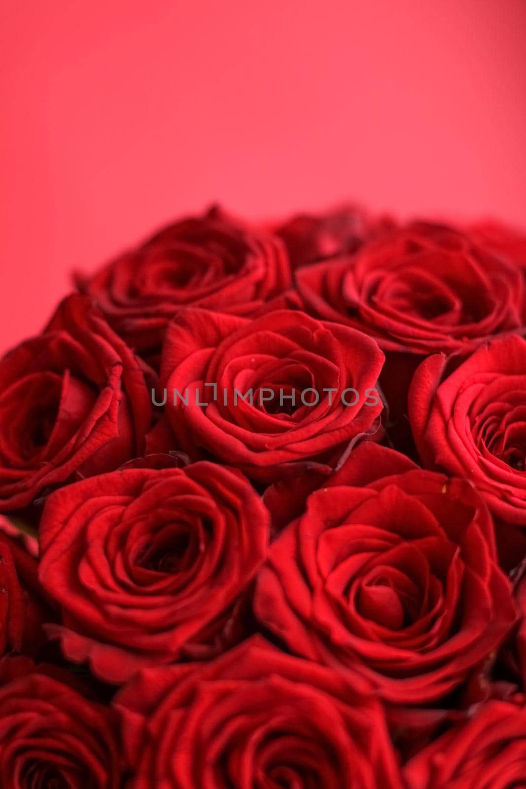 Blooming rose, flower blossom and Valentines Day gift concept - Gourgeous luxury bouquet of red roses, flowers in bloom as floral holiday background