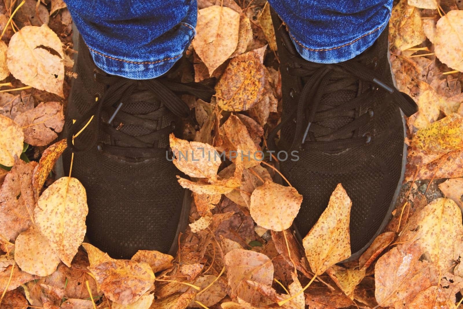 Women's legs in blue jeans and black sneakers against the background of autumn yellow-orange leaves. View from above.