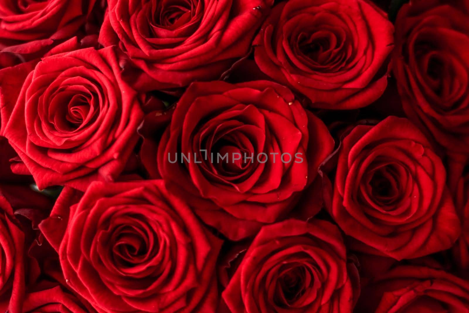 Blooming rose, flower blossom and Valentines Day gift concept - Gourgeous luxury bouquet of red roses, flowers in bloom as floral holiday background