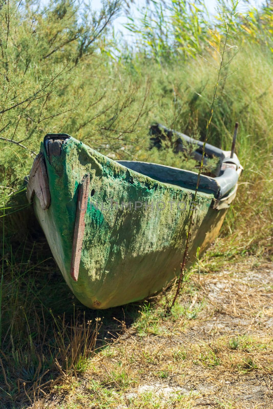 An old wooden boat abandoned in the thickets on the river bank close up