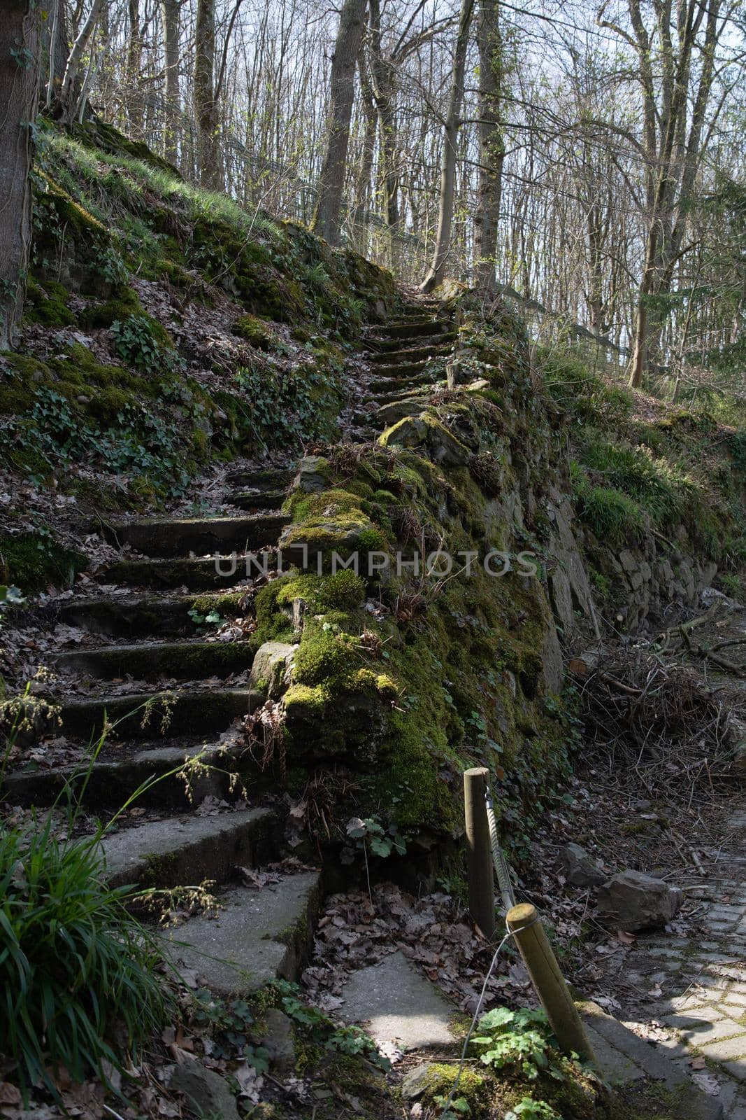 Background of stone stairs and a granite wall covered with green moss. High quality photo