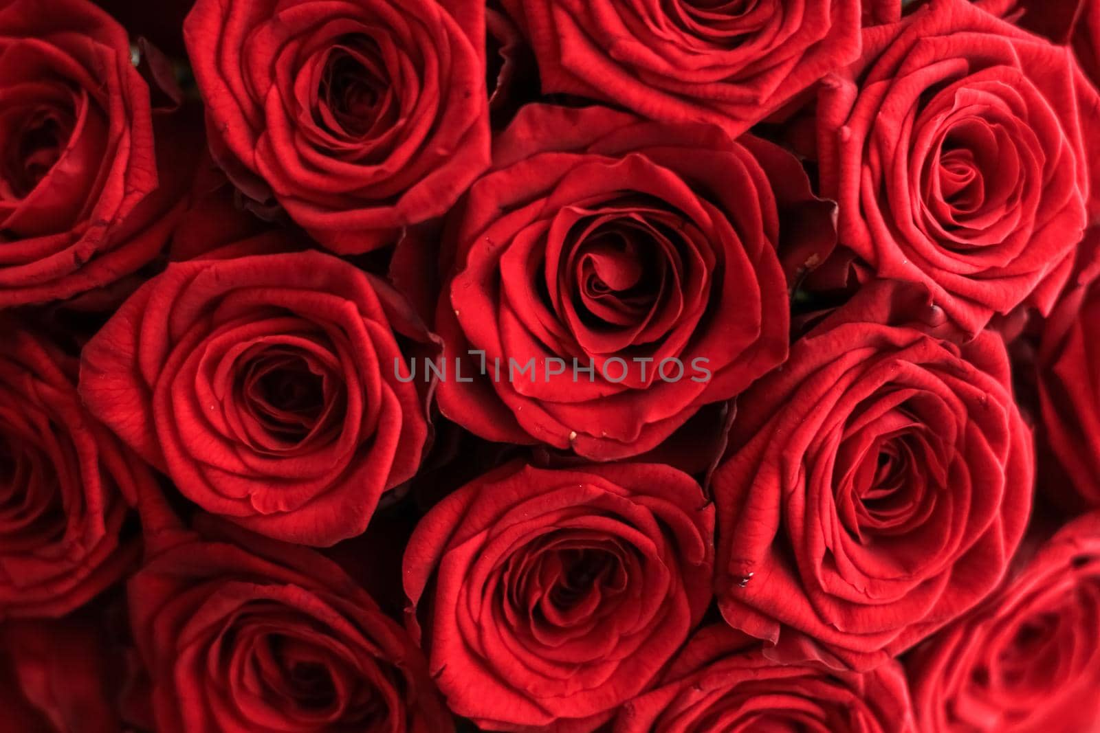 Gourgeous luxury bouquet of red roses, flowers in bloom as floral holiday background by Anneleven