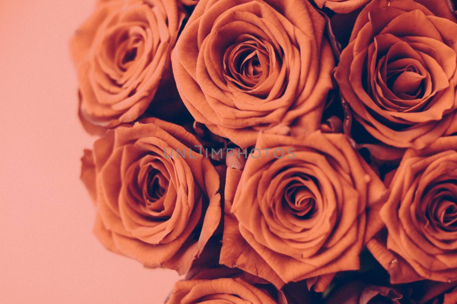 Vintage luxury bouquet of orange roses, flowers in bloom as floral holiday background by Anneleven