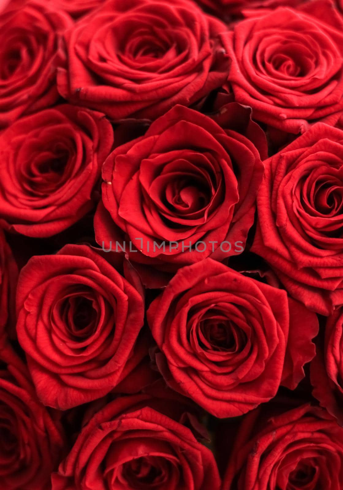 Blooming rose, flower blossom and Valentines Day gift concept - Gourgeous luxury bouquet of red roses, flowers in bloom as floral holiday background