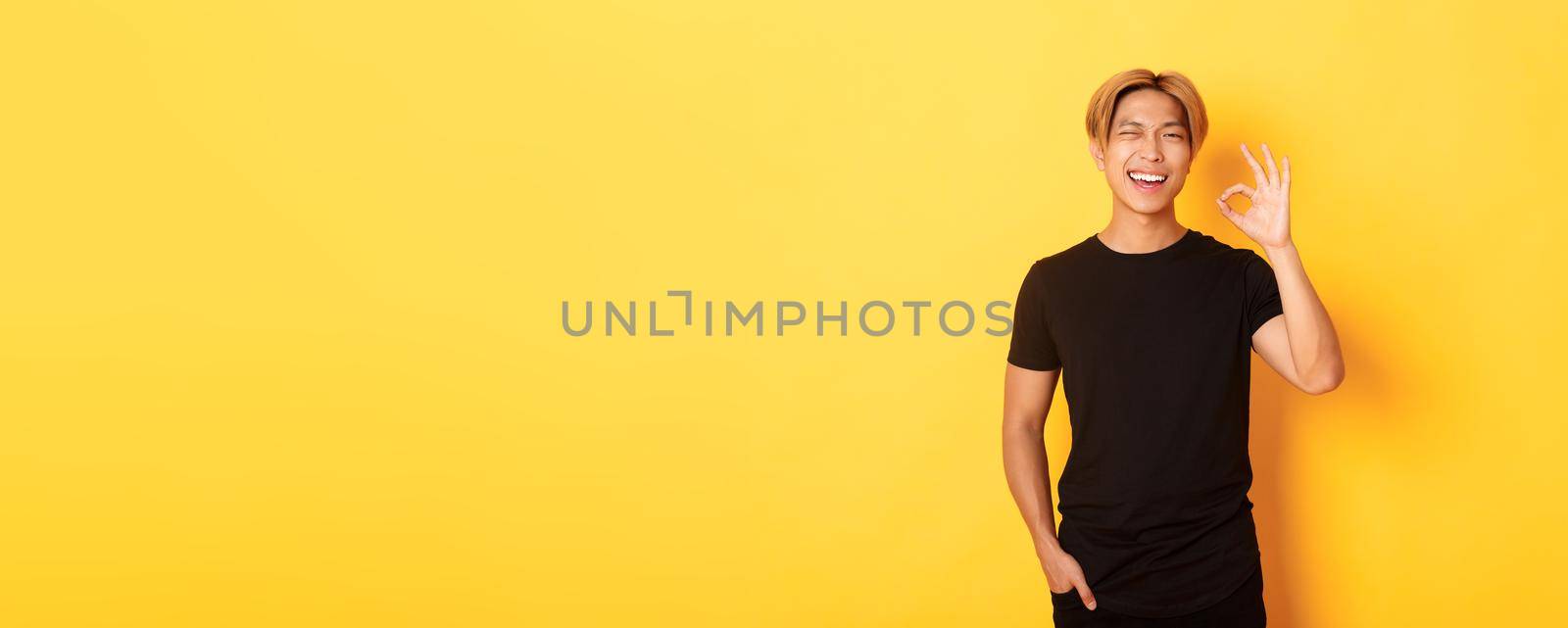 Portrait of satisfied and happy asian smiling guy, showing okay gesture in approval, winking assured, guarantee quality, yellow background.